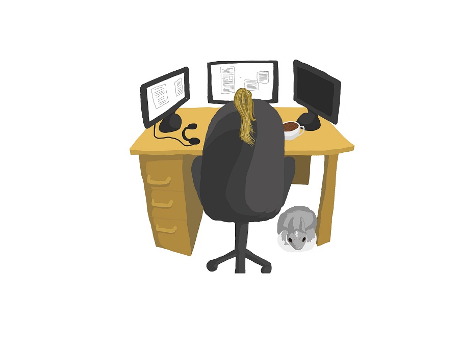 Image of office chair and desk, womans ponytail appears over back of chair and grey rabbit pet) is at her feet. Three monitors hints at knowledge worker creating an article.